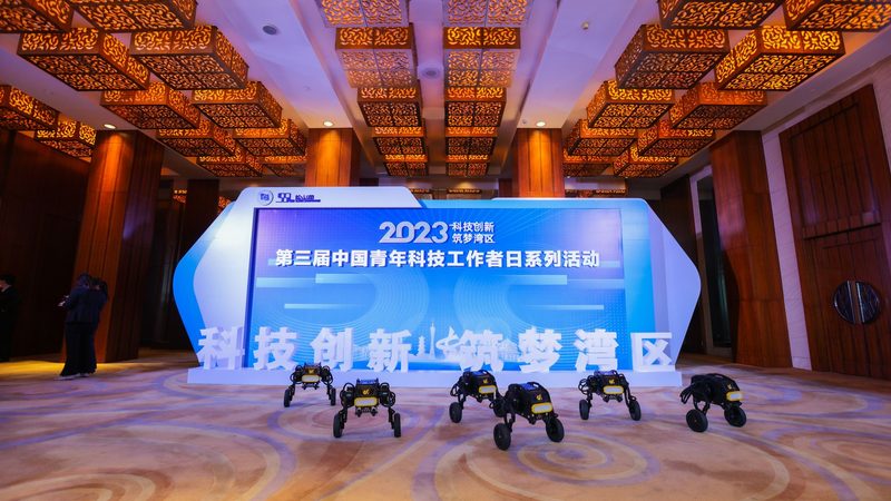 大数据分析公司代理条件：揭秘企业选择之道